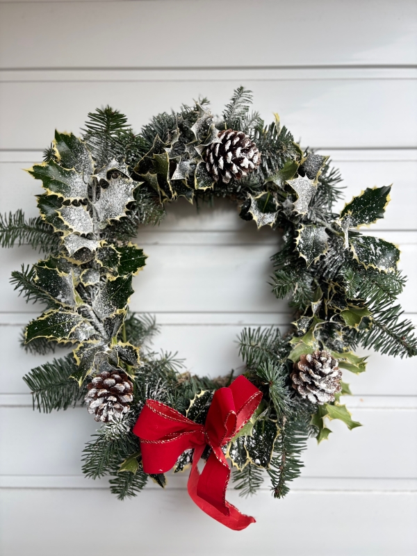 Dressed holly wreaths