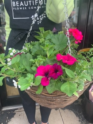 Hanging baskets