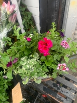 Hanging baskets