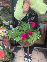 Hanging baskets